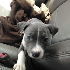 Meet your Posher, Tracey